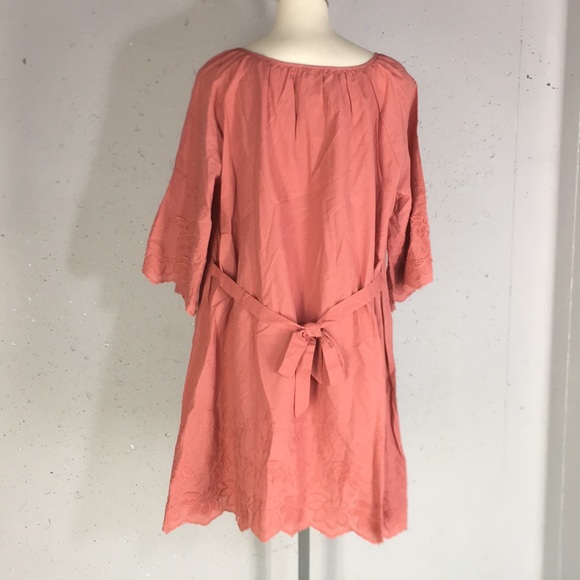 NWT Maternity Embroidered Swing Dress - Picture 2 of 7